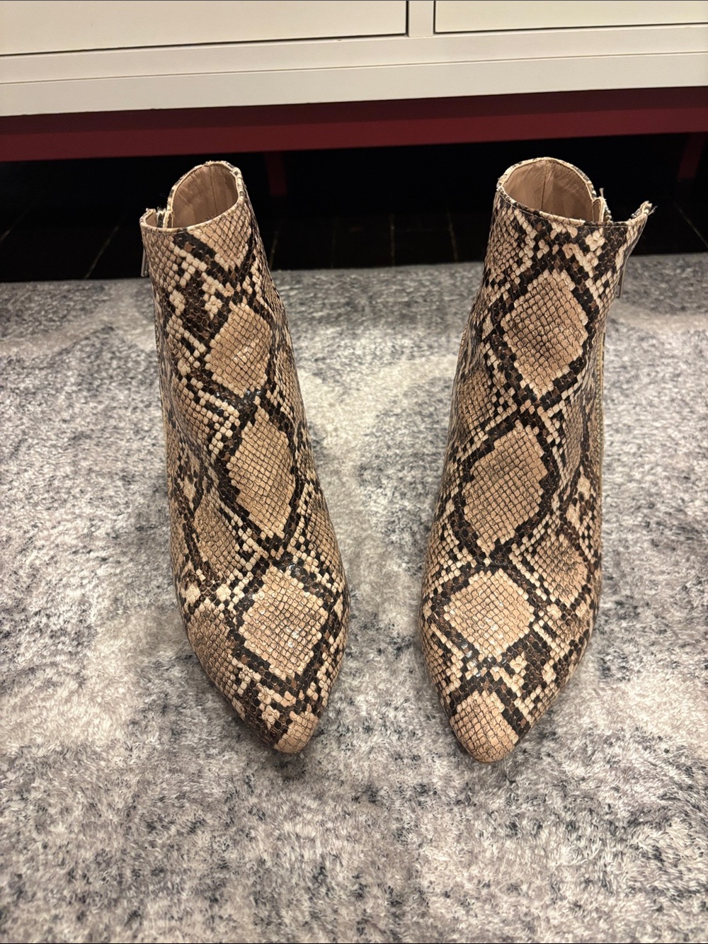 Woman booties Steve Madden snake print